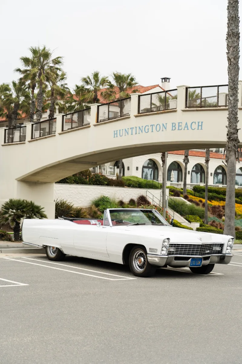 Timeless & classic
